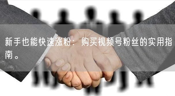 新手也能快速涨粉:购买视频号粉丝的实用指南。