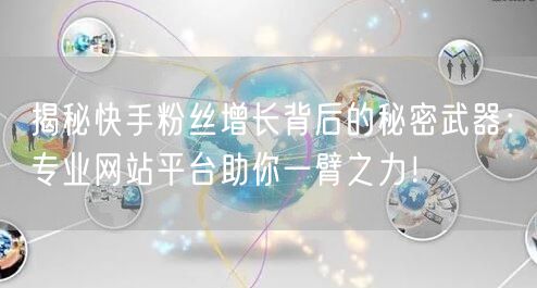 揭秘快手粉丝增长背后的秘密武器：专业网站平台助你一臂之力！