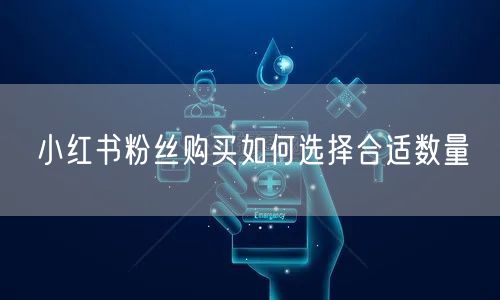 小红书粉丝购买如何选择合适数量