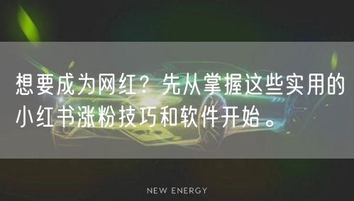 想要成为网红？先从掌握这些实用的小红书涨粉技巧和软件开始。
