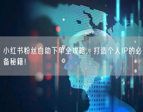 小红书粉丝自助下单全攻略,打造个人IP的必备秘籍!