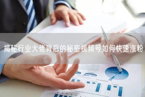 揭秘行业大佬背后的秘密视频号如何快速涨粉
