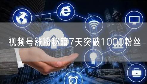 视频号涨粉秘籍7天突破1000粉丝