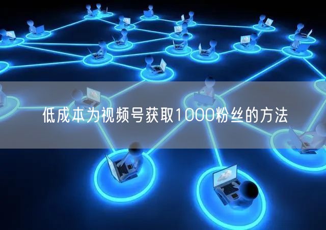 低成本为视频号获取1000粉丝的方法