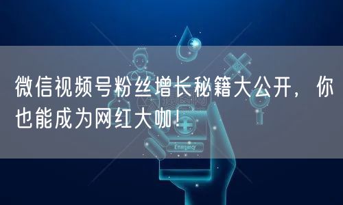 微信视频号粉丝增长秘籍大公开,你也能成为网红大咖!