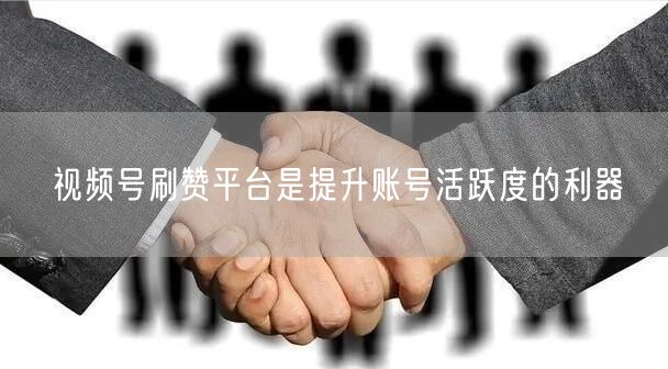 视频号刷赞平台是提升账号活跃度的利器